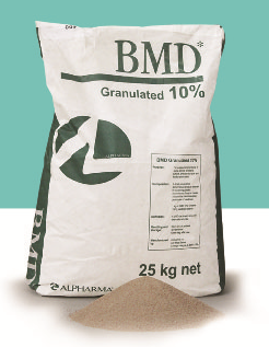 BMD 10