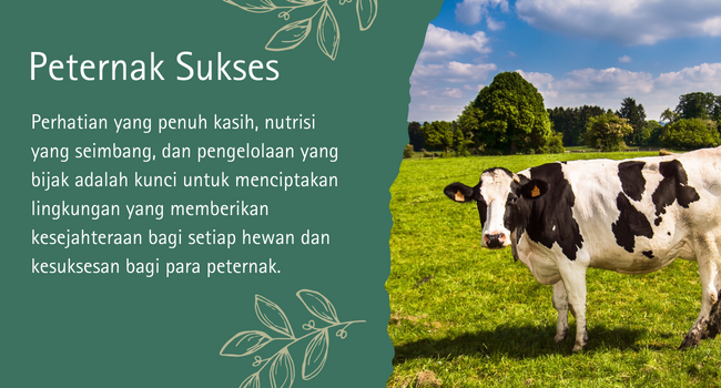 cow-banner