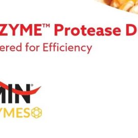 Kemzyme Protease Dry