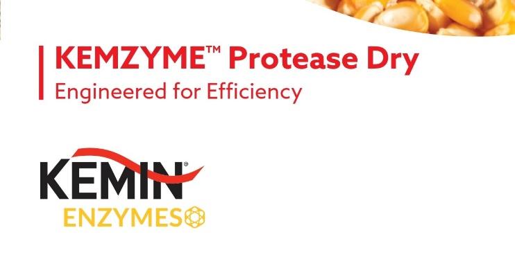 Kemzyme Protease Dry